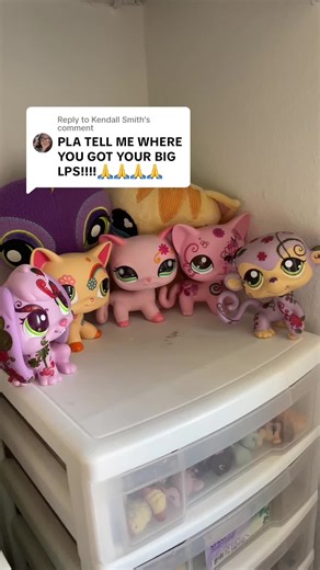 Exploring My Littlest Pet Shop Jumbo Collection