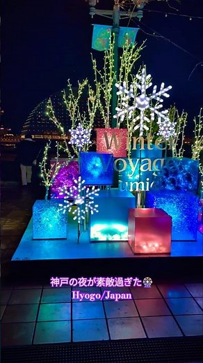 神戸の夜が素敵過ぎた🎡Hyogo/Japan