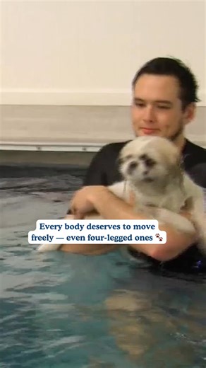 Hydrotherapy isn’t just transforming human rehabilitation — it’s also improving the lives of pets. Gentle resistance and buoyancy make warm-water therapy ideal for animal rehabilitation, post-surgical recovery, and senior pet mobility. #Veterinary #VetMed #Veterinarian #AnimalHealth #PetCare #VetLife #VeterinaryMedicine #PetWellness | SwimEx
