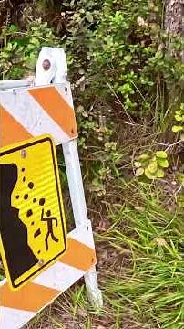 🥾 Kilauea Iki Crater Trail 🌋 Hawaii Volcanoes National Park #travel #hawaii #volcano #nationalpark