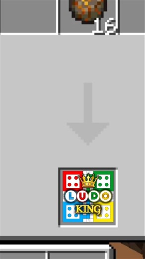 CRAFT IN LUDO MINECRAFT SHORTS