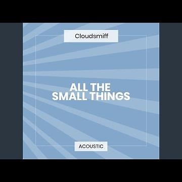 All the Small Things (Acoustic)