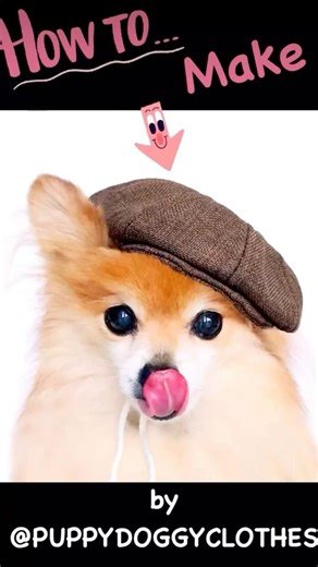How to make a newsboy cap for dog #handmade #smallbusiness #pomeranian