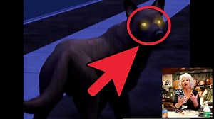 Make a Werewolf in the Sims 2