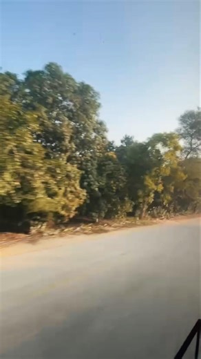 Traveling Alone on a Road Trip | Finding Peace on the Open Road #shorts