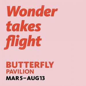 248 reactions · 61 shares | Walk among hundreds of live butterflies as they take flight in NHMLA's Butterfly Pavilion, now—Aug 13. Save your spot today! | Natural History Museum of Los Angeles County | Facebook