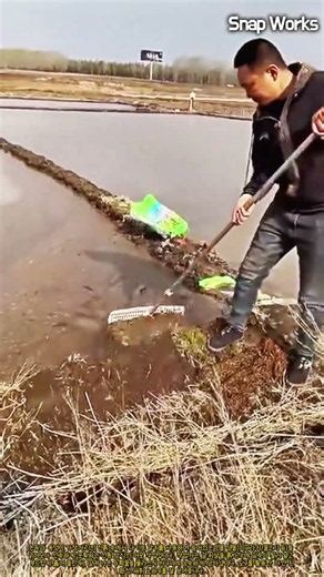 자연 수로에서 흙을 훑어 생물을 포획하는 전통 어로 기술 #worker #process #countryside #skills #outdoor