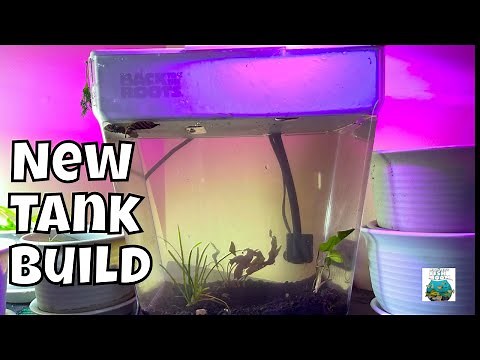 Back to the Roots Aquaponics Tank Build