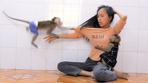 9.5M views · 58K reactions | mom rolling tear after dalton jump to bit her down cuz of bella on hold, | Little Dalton | Facebook