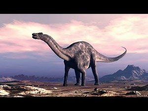 Bible Study: Job 40 (Behemoth)