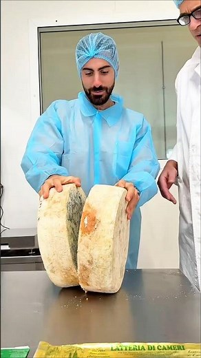 How Gorgonzola Actually Gets Its Veins 🧀
