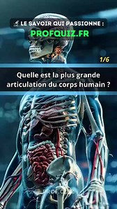 6.5K views · 3.3K reactions | Quiz Anatomie : Systèmes Squelettique et Musculaire ! 領 Teste tes connaissances des os, muscles et articulations humaines dans ce quiz anatomique complet !  Des plus petits os aux muscles les plus forts, explore l'incroyable charpente structurelle de notre corps sur profquiz.fr !  #Quiz #Anatomie #Squelettique #Musculaire #ProfQuiz #Connaissances #Challenge #Os | Prof Quiz | Facebook