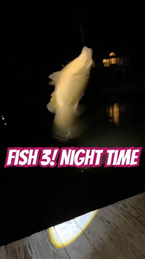 Tornado fish night catching 😂 in sundown neighborhood! #nightfishing #sundownneighborhood #panfish