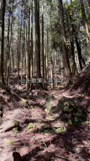 モミの蒸留|山の素材から香りの水へ