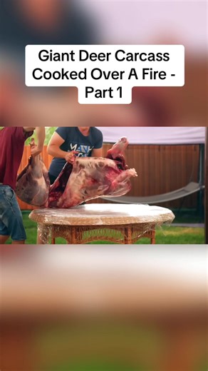 Cooking a Giant Deer Carcass Over Fire - Part 1