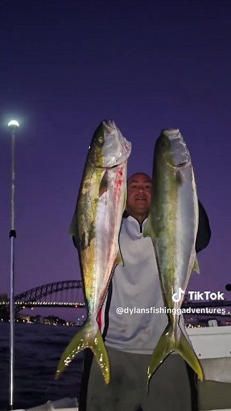 Kingfish Madness in Sydney Harbour Fishing Spots