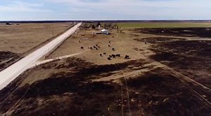 178K views · 1.1K reactions | TRAILER: Texas, Colorado, Oklahoma, and Kansas experienced one of the worst prairie wildfires in history. Partnering with Agri-Pulse Communications, Inc., Arable Media produced a short film covering the devastation and the outpouring of generosity following the fire. Full version will be released shortly. Gardiner Angus Ranch | Arable Media | Facebook