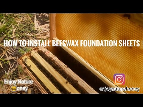 🌎 How to install the beeswax foundation sheets and see how the bees actually draw them out