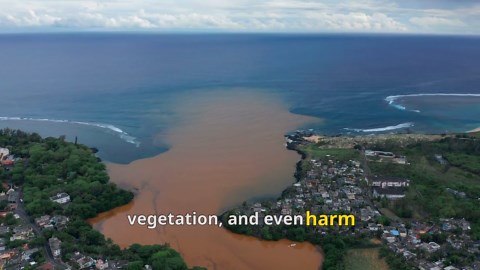 Why Don’t Firefighters Use Ocean Water to Fight Wildfires?