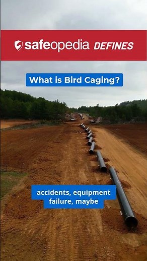 What is Bird Caging?