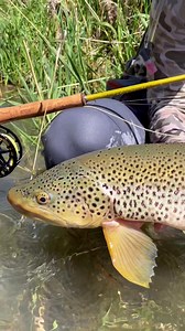 99 reactions · 3 comments | Sending a good one home with @noahstuddardfishing and the Evolution LTX Reel. #RossReels #MadeOnTheWater #MadeInTheUSA #FlyReel | Ross Reels | Facebook