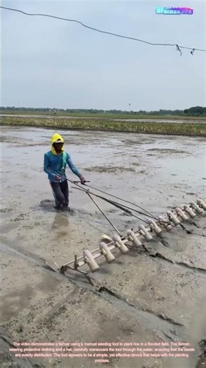 The Tradition of Rice Seeding: A Farmer's（Manual） Approach