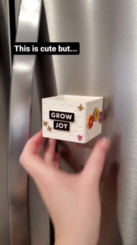 Succulent Tips & Inspiration: Care, Design, and Creativity