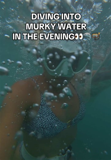 Sometimes, diving in the murkiest water is WORTH IT!🥹🩵🦈 #sharks #ocean #hawaii #freediving #oceanlife
