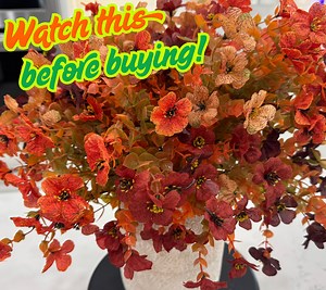 Watch Do these fake flower look real? on Amazon Live