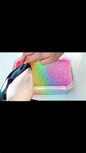 Exploring Keijo PC and Orcas at Marineland Antibes