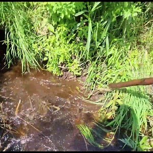 Post 10 POV Unclogging | Post 10