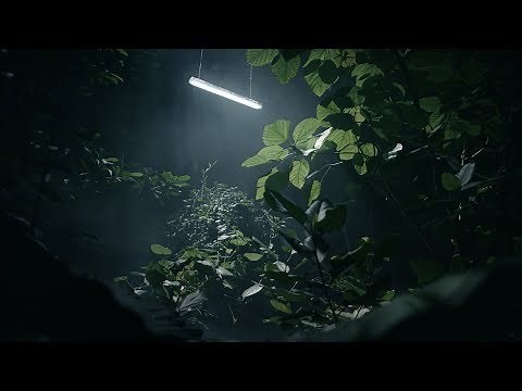 AMPHIBIA – Built to resist in industry lighting