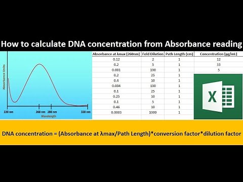 How to calculate DNA concentration in Excel from absorbance reading