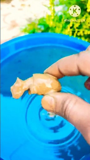 Testing a $1 Plastic Clamp – Can It Really Hold the Pressure? 😱