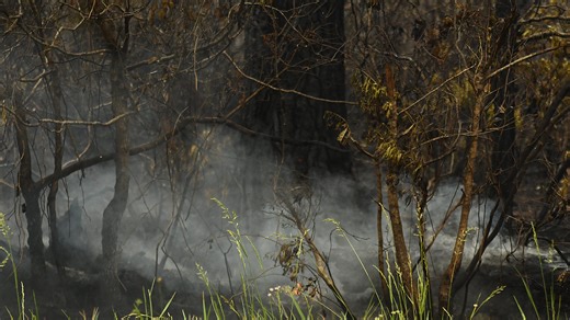 Sunday scenes from the Boiling Spring Lakes wildfire