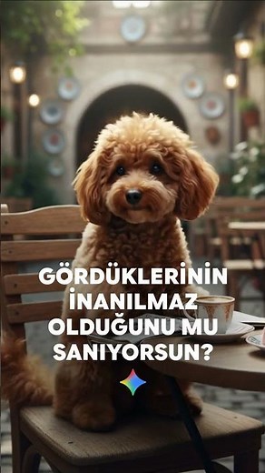 İnanılmaz videolar bu inanılmaz teklifte gizli!