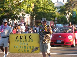 Annual Dog Agility Trials Hosted at May Fair