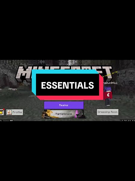 Minecraft Essentials Addon Download Guide