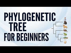 Understanding and building phylogenetic trees