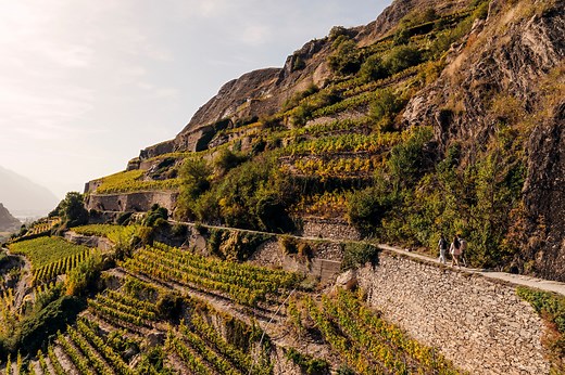 Vous voulez profiter de l'automne avec tous vos sens ?🍂 Alors explorez les bisses et les vignobles de la capitale valaisanne avec Les Celliers de Sion 🍇 et vivez le vin, la nature et les délices de la région en parfaite harmonie. valais.ch/shop-marche-gourmande *** Ihr wollt den Herbst mit allen Sinnen geniessen?🍂 Dann erkundet die Suonen und Weinberge von Sion mit Les Celliers de Sion 🍇 und erlebt Wein, Natur und regionale Köstlichkeiten in perfekter Harmonie. wallis.ch/shop-kulinarische-wa