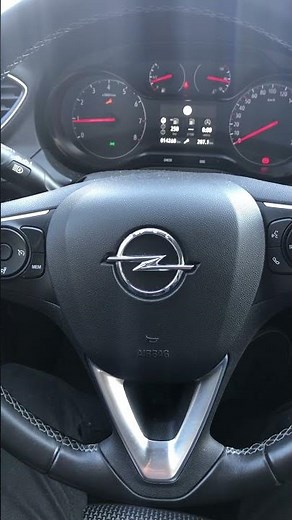 Opel Grandland X squeels
