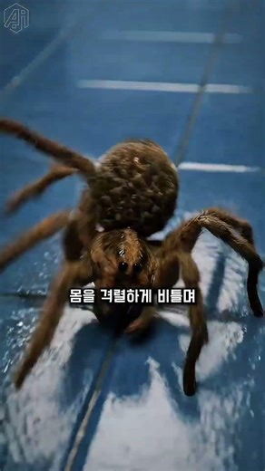 1마리 잡으려다 300마리 키우는 실수
