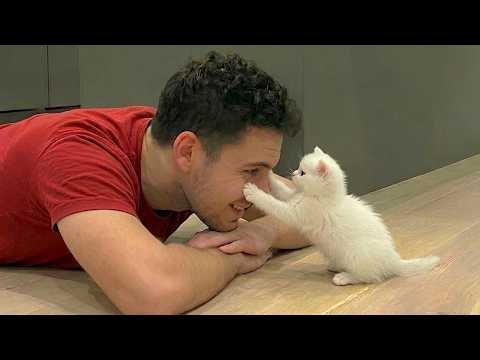 Here’s Why You Need a CAT In Your Life... 😂
