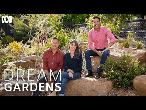 These Aussie natives will brighten up any garden | Dream Gardens