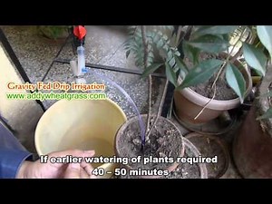 Working Model of Automatic Watering Gravity Fed Drip System for Plants