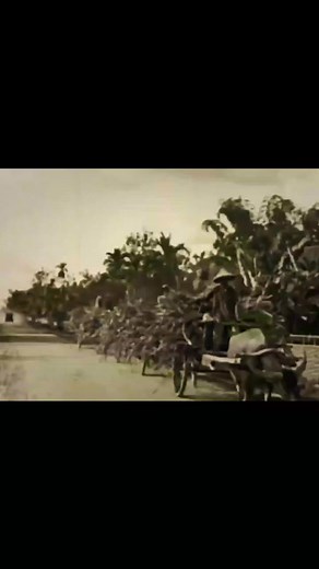 125K views · 5K reactions | Ang mga dinumaan nga pamaagi  A 1930s footage from the Archives  #fyp #theoldways #traditionalmethods #negrense #LasIslasFilipinas | Vincent J Stein | Facebook