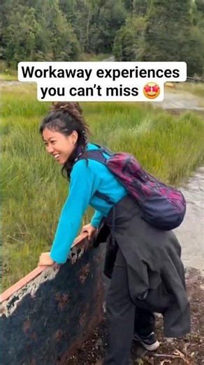 Workaway experiences you can’t miss 🤩