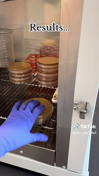 Nothing new to see here! #fyp #science #sciencetok #lab | ScienceTok