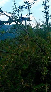 4M views · 293K reactions | Natural Scenery | Islam My Passion | Facebook