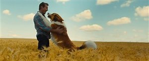 'A Dog's Journey' Trailer | Movie Trailers and Videos
